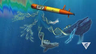 Using advanced technology to survey marine biodiversity