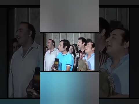 شادية سلامة سلامة من فيلم اضواء المدينة