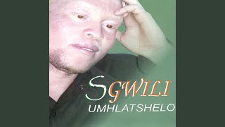 Download lagu Isizo Lwami