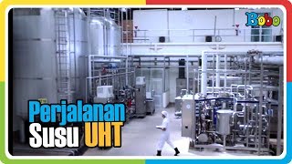 Proses Pembuatan Susu UHT di Pabrik susu Ultrajaya