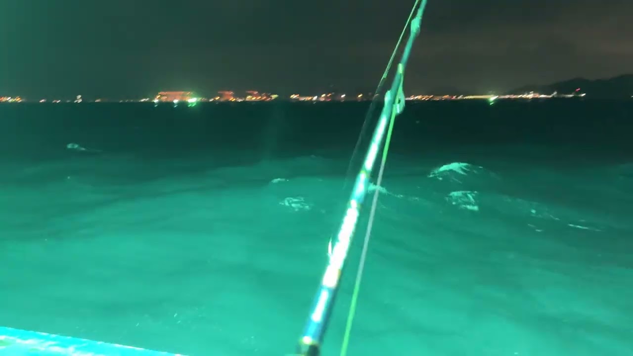 วิธีตกหมึกง่ายๆ