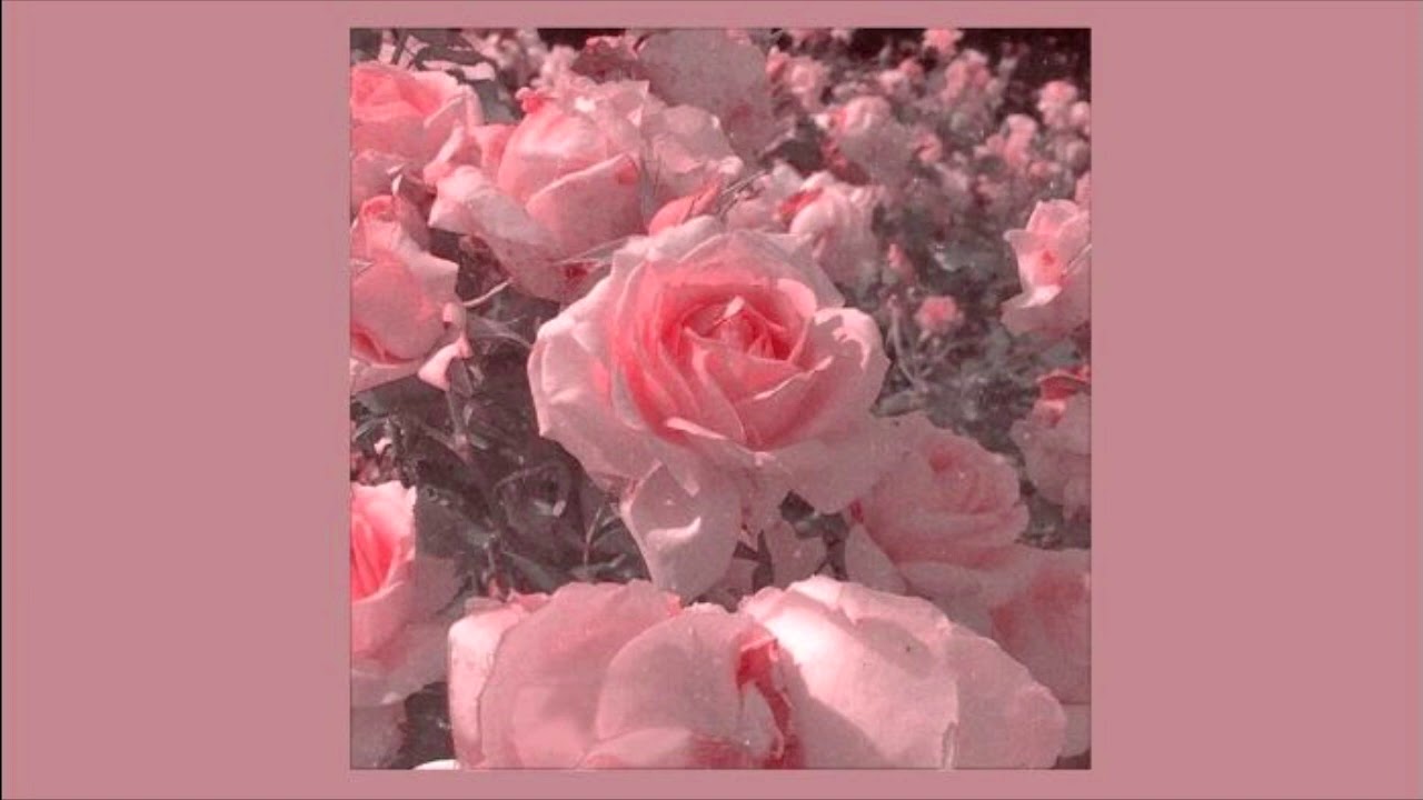 dan balan ft. вера брежнева - лепестками слез //slowed n reverb//