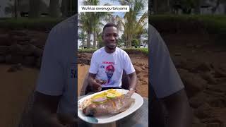 HE BOBI WINE ONE LOVE BEACH ⛱️ BUSABALA #celebritytalk #kktvuganda