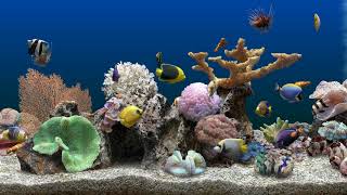 Marine Aquarium 3  2 hours (4K)