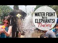 Waterfight with Elephants: Songkran Festival THAILAND