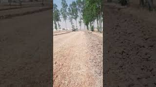 Ford 3610 With 2 Mb Plough 2022