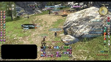 FF14 Clip: To Catch a Botter