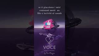 LA GARA DELLA VITA - VOCE - frase emozionale