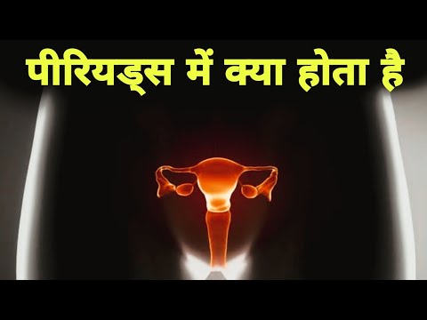 पीरियड्स में महिलाओं के साथ क्या होता हैं - menstrual cycle in hindi