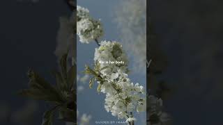 The True Beauty Of A Woman.