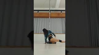 Exotic pole dance by suen