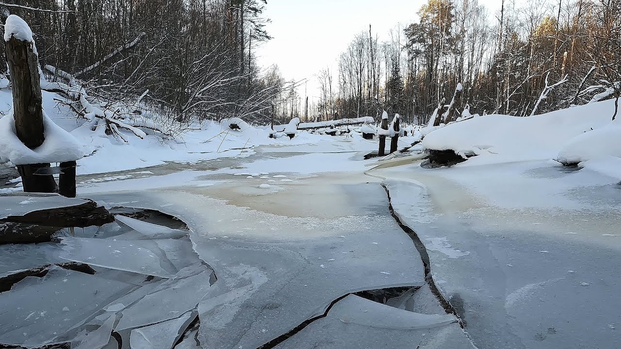 Устроил подкоп под Бобровой плотиной и вот что из этого вышло - YouTube