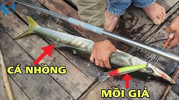 Câu Cá Cù Lao Chàm - Câu Trolling Bằng Mồi Giả Gặp Cá Nhồng Khủng | Tiến Bens - Fishing