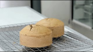 What is an Emulsifier? | Knead to Know Basis | BAKERpedia