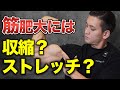デカくて丸い筋肉を作るには?新たな視点「たわませる」徹底解説