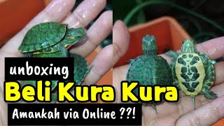 ORDERING TURTLES ONLINE, IS IT SAFE?