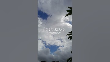 سورة العنكبوت القارئ عبدالرحمن مسعد #القرآن #القرآن_الكريم #حالات_واتس #حالات_واتس_اب #حالات_واتساب