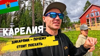 видео: Карелия ДИКАРЯМИ за 5 дней! ТОП мест. Республика - ЛУЧШАЯ для дикого отдыха. На автодроме с палаткой картинка: Карелия ДИКАРЯМИ за 5 дней! ТОП мест. Республика - ЛУЧШАЯ для дикого отдыха. На автодроме с палаткой