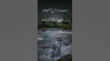 #رمضان #تلاوة_خاشعة #قرآن_كريم #تلاوات #قرآن  #مكه_المكرمه #القرآن_الكريم