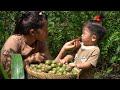 Harvest plums for sale firewood and cooking