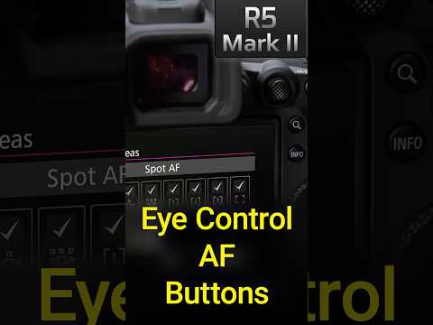Controlling Eye Control