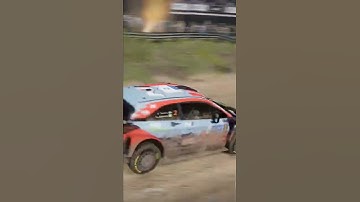 Jump and through the Red Bull gate. WRC 10 games #shorts