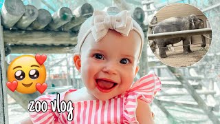 A child went missing at the zoo!! Vlog by Brooke Lehman 239 views 1 year ago 11 minutes, 37 seconds