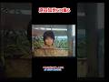 【懐かしCM】原田知世CM集6 #shorts #cm