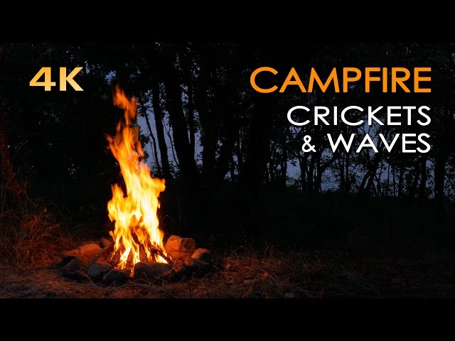 4K Campfire by the Sea - Crickets & Ocean Waves - Night Forest Nature Sounds - Relaxing Fireplace class=