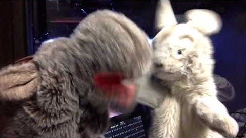 Team Awesome Robot thanks Leta Tremblay!