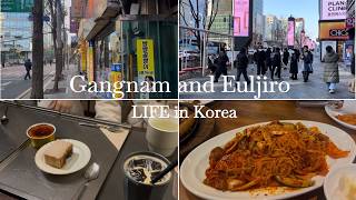 Gangnam And Euljiro In Korea 🇰🇷 | Korea Alley And Shopping Street | Korea Vlog-seoul Korea 2026