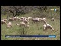 Le parc des baronnies provenales  la une