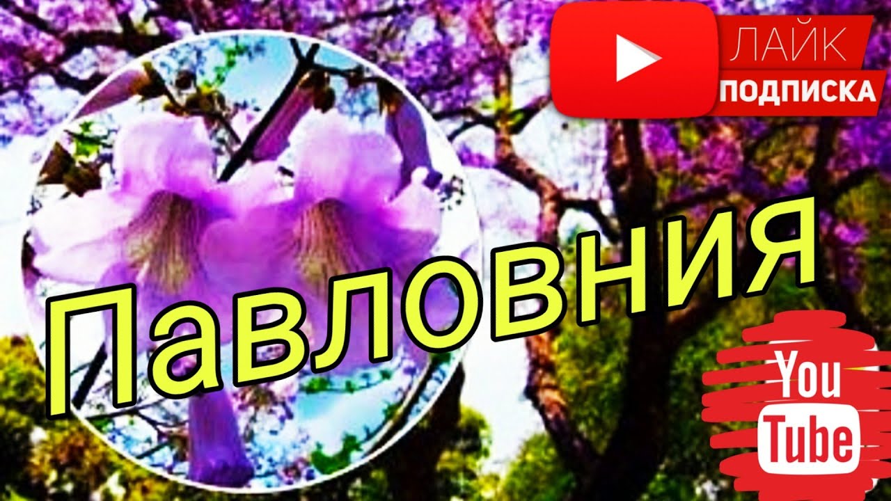Посылка из Китая..кароновирус?!! - YouTube