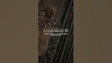 إِنَّكَ مَيِّتٌ وَإِنَّهُمْ مَيِّتُونَ | القارئ ماهر المعيقلي