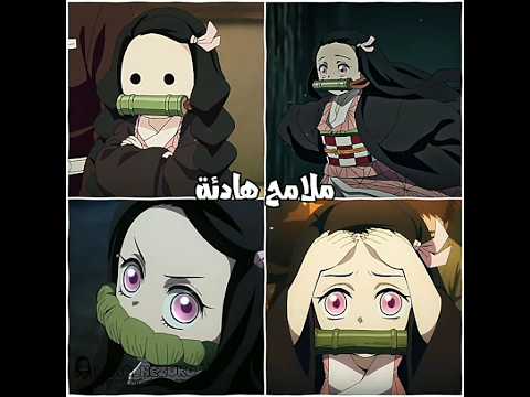 يلبى تجنن فكرتي ناغي للانا نيزيكو للانا بدون موسيقى اكسبلور  احبكممم عدلوا الدعم