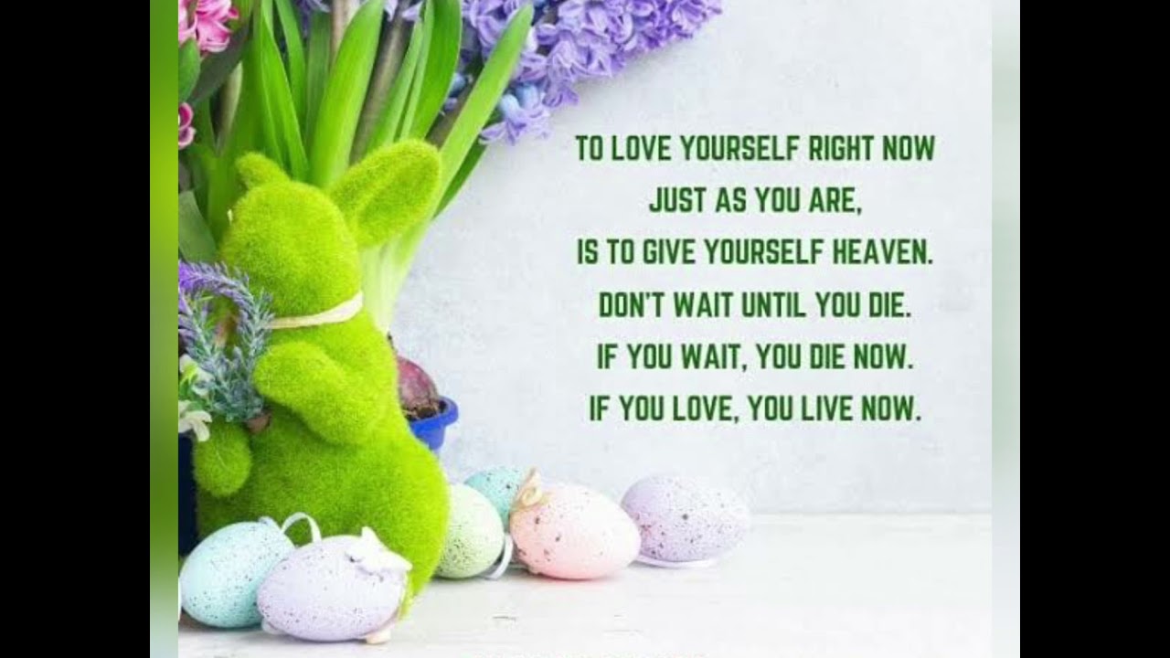 Self Love Quotes Compilation by Bash