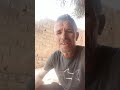 الحاج دودو الشلفي باغي مدامة