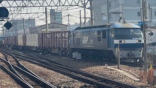 EF210-156 2077レ 尼崎駅 2026/1/17