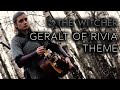 The Witcher - Geralt of Rivia Theme (HURDY GURDY COVER | NETFLIX ORIGINAL SOUNDTRACK)