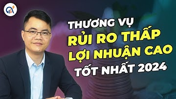 SỐ 11: THƯƠNG VỤ RỦI RO THẤP – LỢI NHUẬN CAO TỐT NHẤT NĂM 2024 | XÂY DỰNG DÒNG TIỀN THỤ ĐỘNG