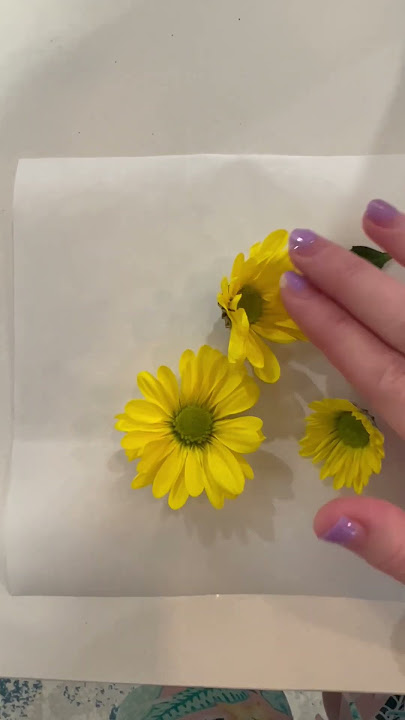 🌼 DIY Pressed Flowers in Book 🌼 #tutorial