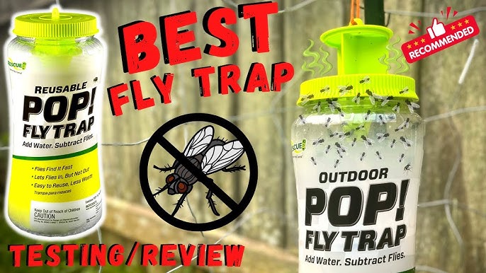 RESCUE!® Reusable Fly Trap