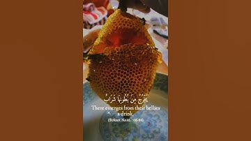 وأوحى ربك إلى النحل 🐝 سورة النحل 🌹 #اكسبلور #القرآن_الكريم #quran #اذكار #الحديث #تيك_توك #شورت