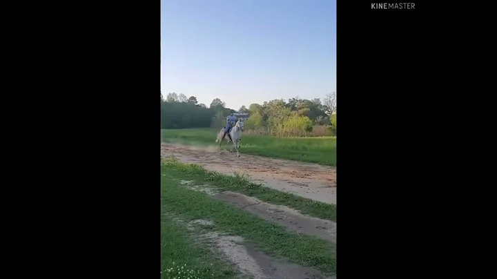 Christina Nash working out on Standardbreds