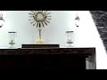 Silent Adoration With Gregorian Chant