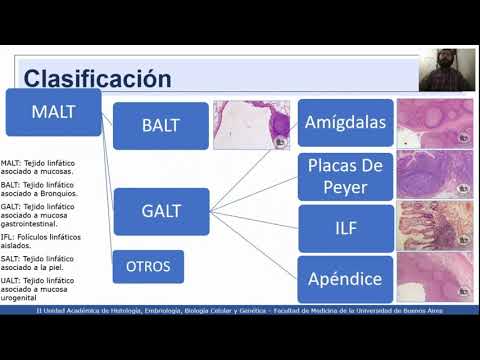 Video: ¿Qué es el tejido linfoide asociado a mucosas?