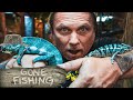 WHAT HAPPENS WHEN MY SNAKES AND LIZARDS GET TOO OLD?? UNBOXING A BABY BLUE CHAMELEON | BRIAN BARCZYK