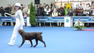 Dog dancing show 'Eurasia  2012 / Russia / Moscow'. Freestyle. by KinologVideo 7,605 views 12 years ago 4 minutes, 24 seconds