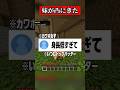 カワボ低身長女子のガチ恋がヤバすぎる #マイクラ #shorts