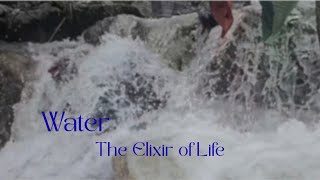 Water the Elixir of Life